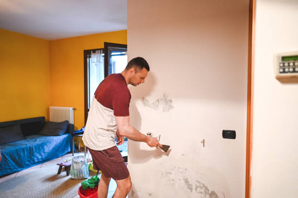 Best Professional Mold Removal  in Vadnais Heights, MN