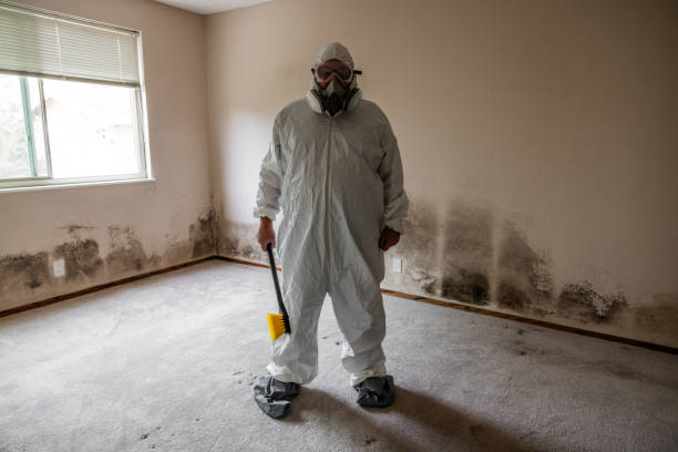 Best Toxic Mold Removal  in Vadnais Heights, MN
