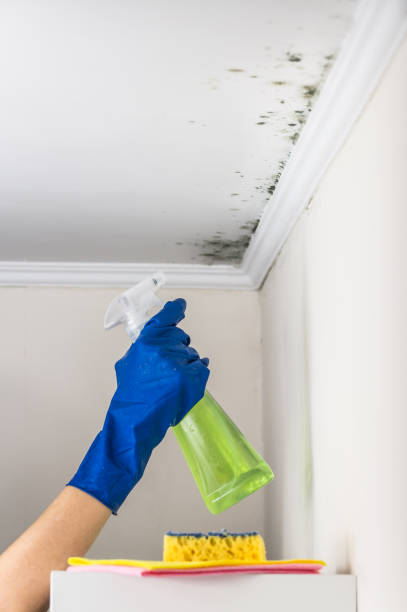 Best Crawl Space Mold Removal  in Vadnais Heights, MN